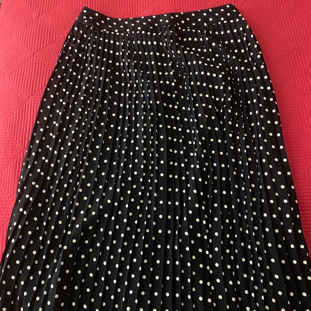 J Crew Navy Polkadot skirt size 12